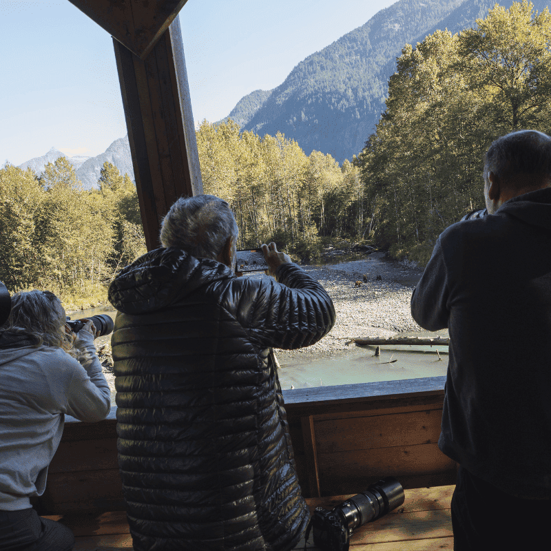 guests photographing bears from a viewing platform at Klahoose Wilderness Resort