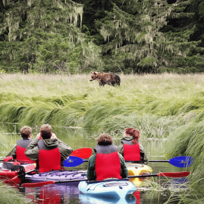Guests in canoes at Knight Inlet, watching a bear along the shoreline, surrounded by stunning wilderness scenery